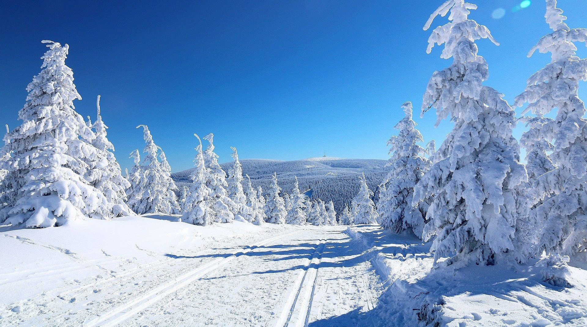 Výlety a sport v zimě